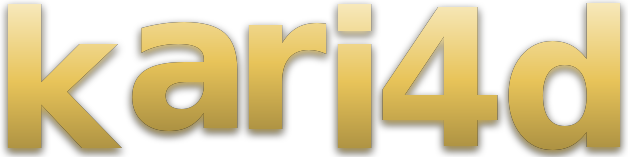 kari4d logo